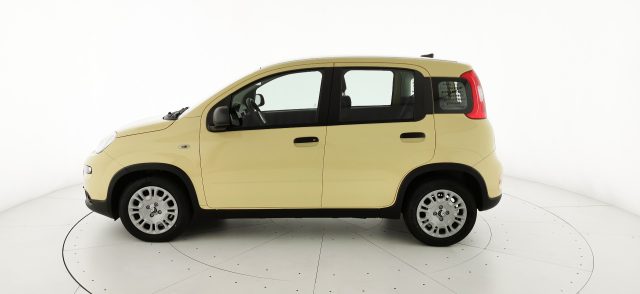 FIAT Panda 1.0 FireFly S&S Hybrid - KM ZERO Immagine 3