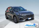 FORD Kuga 2.0 EcoBlue 120 CV aut. 2WD ST-Line