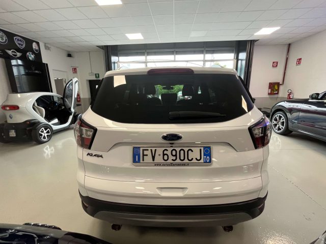 FORD Kuga Kuga 1.5 tdci Business s Immagine 3