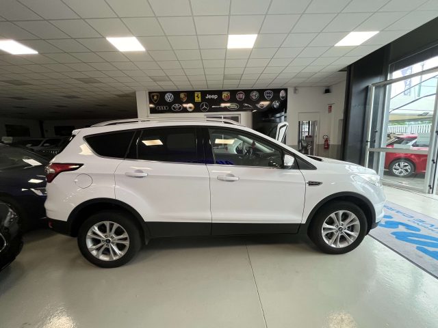 FORD Kuga Kuga 1.5 tdci Business s Immagine 4