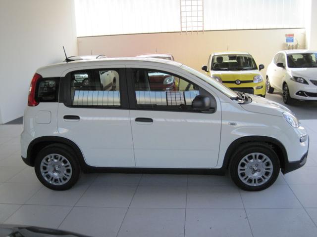 FIAT Panda 1.0 FireFly S&S Hybrid Immagine 3