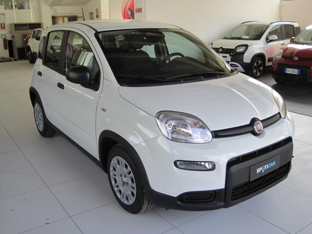 FIAT Panda 1.0 FireFly S&S Hybrid Immagine 2