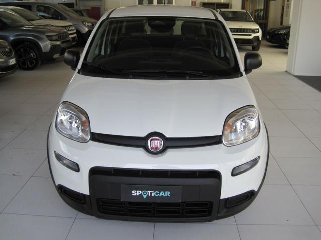 FIAT Panda 1.0 FireFly S&S Hybrid Immagine 1