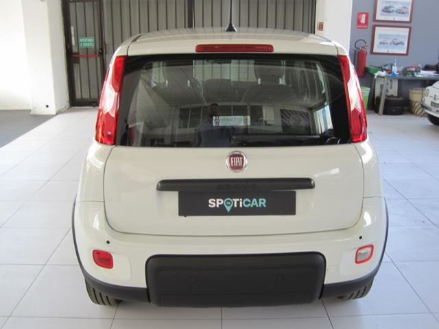 FIAT Panda 1.0 FireFly S&S Hybrid Immagine 4