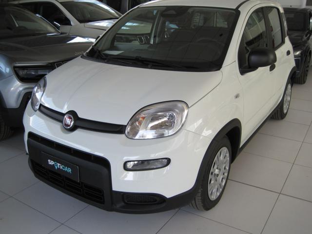 FIAT Panda 1.0 FireFly S&S Hybrid Immagine 0