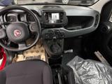 FIAT New Panda 1.0 Hybrid PROMO CAR SERENITY