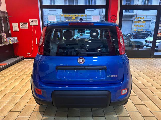 FIAT New Panda 1.0 FireFly S&S Hybrid Immagine 4