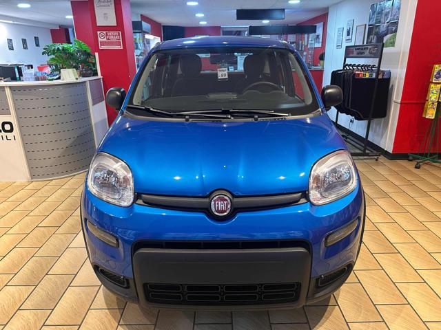 FIAT New Panda 1.0 FireFly S&S Hybrid Immagine 3