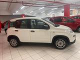 FIAT New Panda NESSUN FINANZIAMENTO !!!