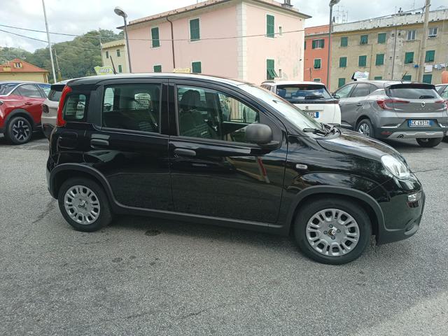 FIAT Panda 1.0 Pandina Hybrid NUOVA - INCENTIVI EURO 0-1-2-3 Immagine 2