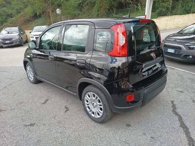 FIAT Panda 1.0 Pandina Hybrid NUOVA - INCENTIVI EURO 0-1-2-3 Immagine 3