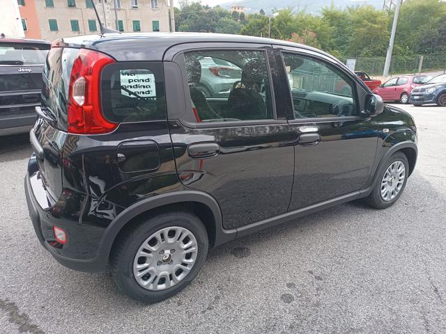 FIAT Panda 1.0 Pandina Hybrid NUOVA - INCENTIVI EURO 0-1-2-3 Immagine 4