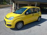 FIAT Panda 1.0 POP HYBRID - NUOVA INCENTIVI EURO 0-1-2-3-4-5