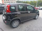 FIAT Panda 1.0 Pandina Hybrid NUOVA - INCENTIVI EURO 0-1-2-3