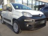 FIAT Panda 1.3 MJT S&S 4x4 Pop Climbing Van AUTOCARRO +IVA