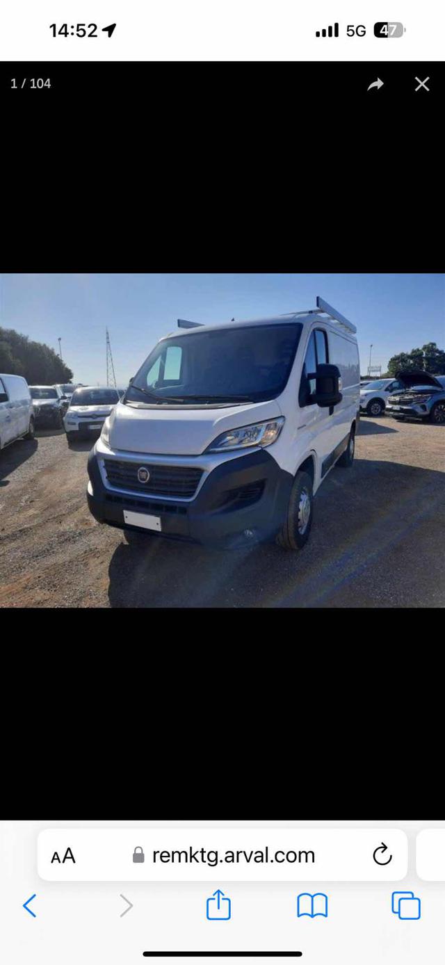 FIAT Ducato Diesel 2019 usata