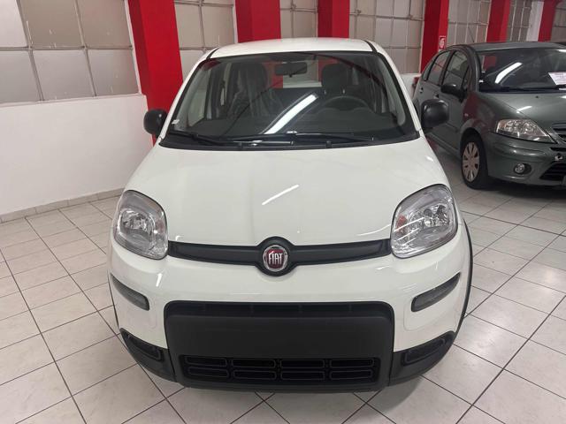 FIAT New Panda NESSUN FINANZIAMENTO !!! Immagine 2