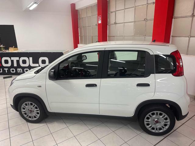 FIAT New Panda NESSUN FINANZIAMENTO !!! Immagine 4