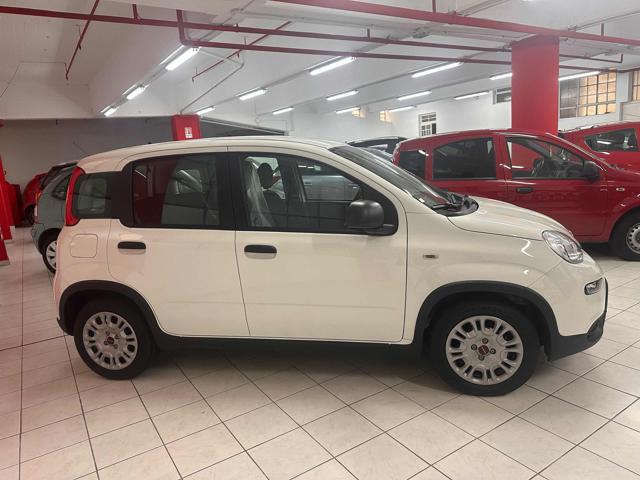 FIAT New Panda NESSUN FINANZIAMENTO !!! Immagine 3