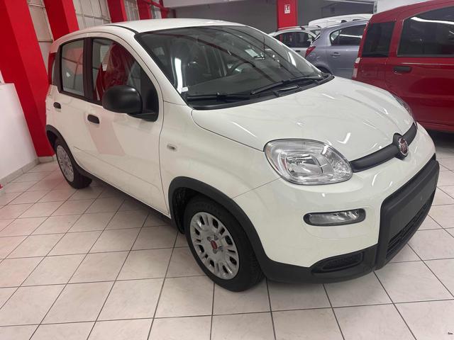 FIAT New Panda NESSUN FINANZIAMENTO !!! Immagine 1