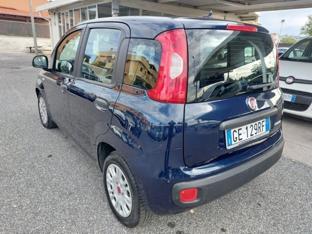 FIAT Panda 1.0 FireFly S&S Hybrid Uniprò Neopatentati Fattur. Immagine 2