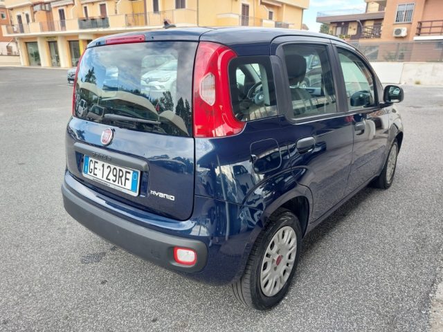 FIAT Panda 1.0 FireFly S&S Hybrid Uniprò Neopatentati Fattur. Immagine 3