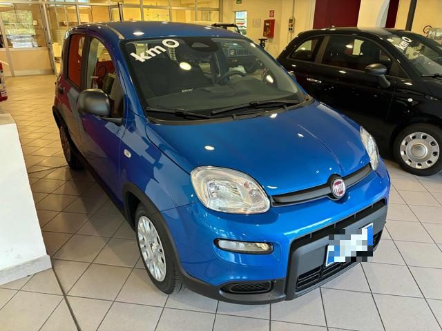 FIAT Panda 1.0 FireFly S&S Hybrid Immagine 1