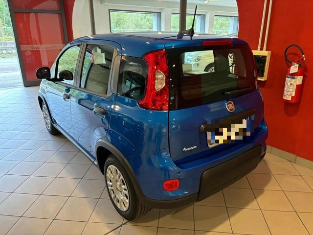 FIAT Panda 1.0 FireFly S&S Hybrid Immagine 2