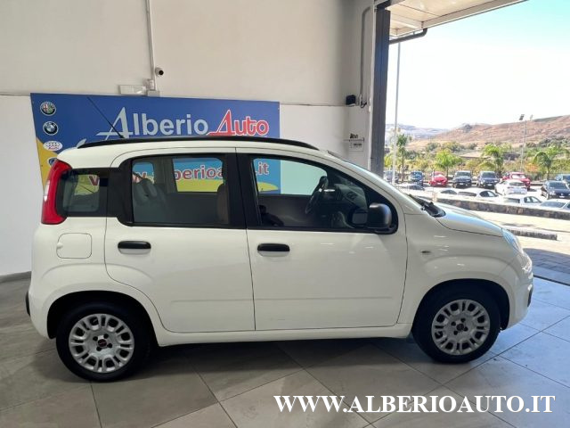 FIAT Panda 1.2 Easy Immagine 3