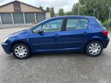 PEUGEOT 307 1.4 16V 5p benzina/gpl Bellissima