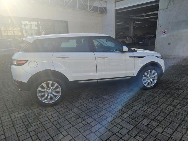 LAND ROVER Range Rover Evoque 2.0 eD4 5p. Pure Immagine 2