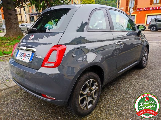 FIAT 500 1.0 Hybrid Cult NEOPATENTATI Immagine 3