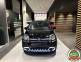 FIAT Panda 1.0 FireFly S&S Hybrid Pandina