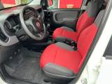 FIAT Panda 1.3 MJT S&S 4x4 Van 2 posti