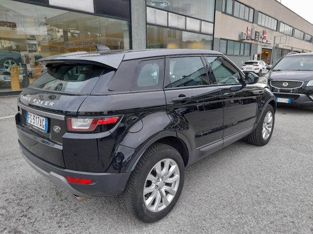 LAND ROVER Range Rover Evoque 2.0 eD4 5p. Pure Immagine 2