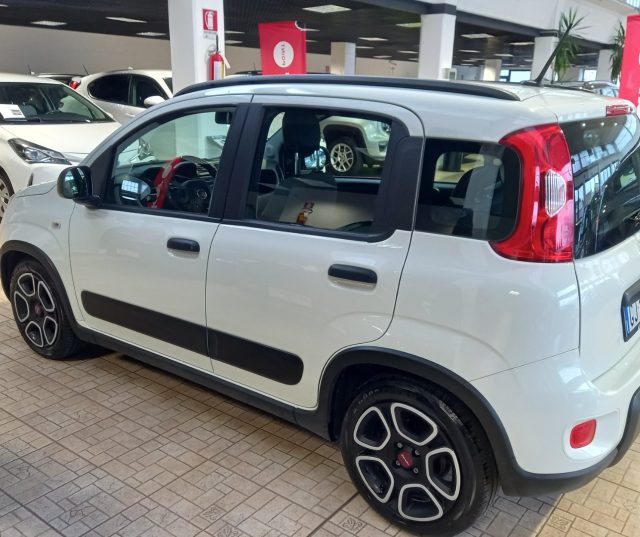 FIAT Panda 1.0 FireFly S&S Hybrid City Life Immagine 3