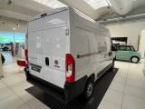 FIAT Ducato 33 2.2 Mjt 140CV PM-TM Furgone