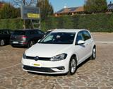 VOLKSWAGEN Golf 1.6 TDI 115 CV 5p. Business BlueMotion Technology