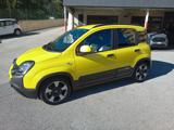 FIAT Panda 1.0 Hybrid Pandina INCENTIVI EURO 0-1-2-3-4-5