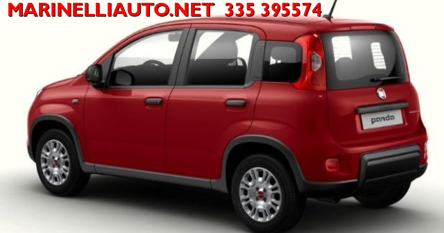 FIAT Panda P.CONSEGNA MY24 1.0 70CV Hybrid KM ZERO Immagine 1