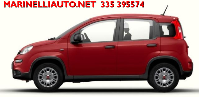 FIAT Panda P.CONSEGNA MY24 1.0 70CV Hybrid KM ZERO Immagine 2