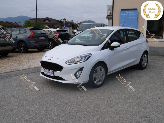 FORD Fiesta 1.5 EcoBlue 5 porte Business Immagine 2