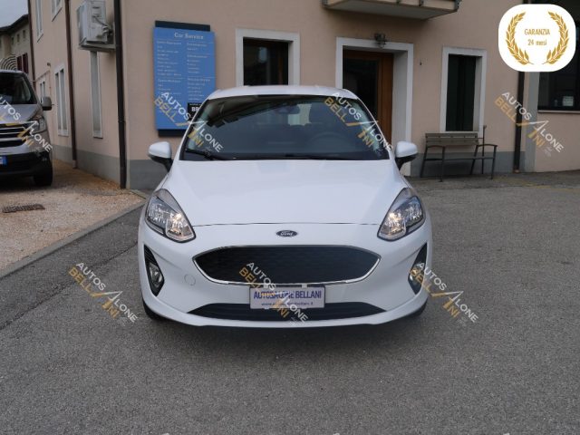 FORD Fiesta 1.5 EcoBlue 5 porte Business Immagine 1