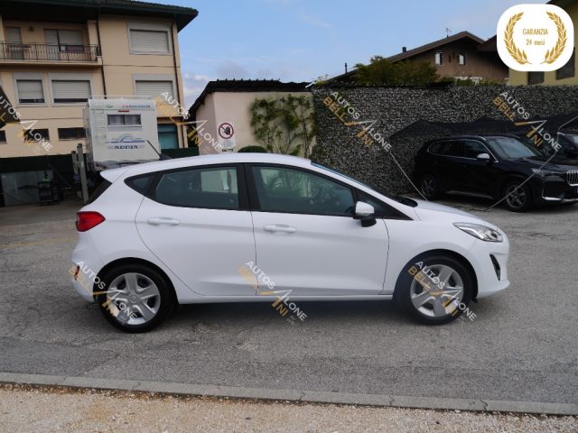 FORD Fiesta 1.5 EcoBlue 5 porte Business Immagine 3