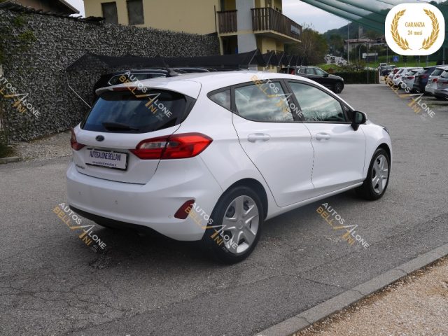 FORD Fiesta 1.5 EcoBlue 5 porte Business Immagine 4