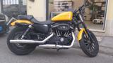 HARLEY-DAVIDSON 883 Iron 883 IRON -SOLO 14.800KM-