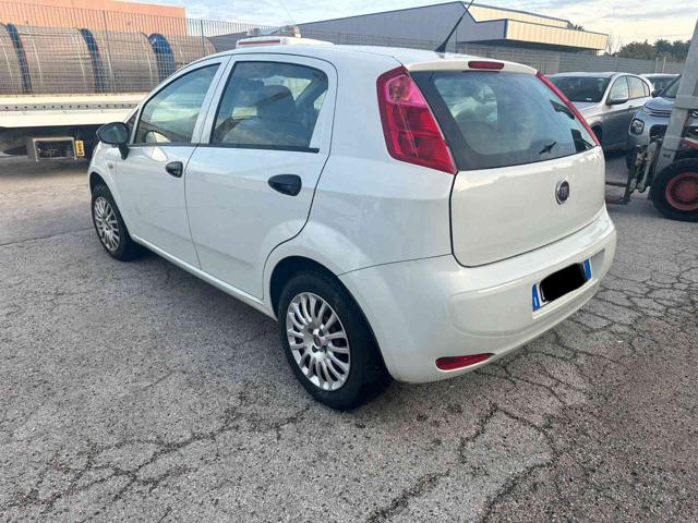 FIAT Punto 1.2 8V 5 porte Street Immagine 3