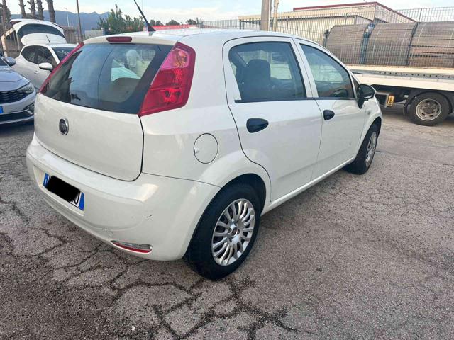 FIAT Punto 1.2 8V 5 porte Street Immagine 2