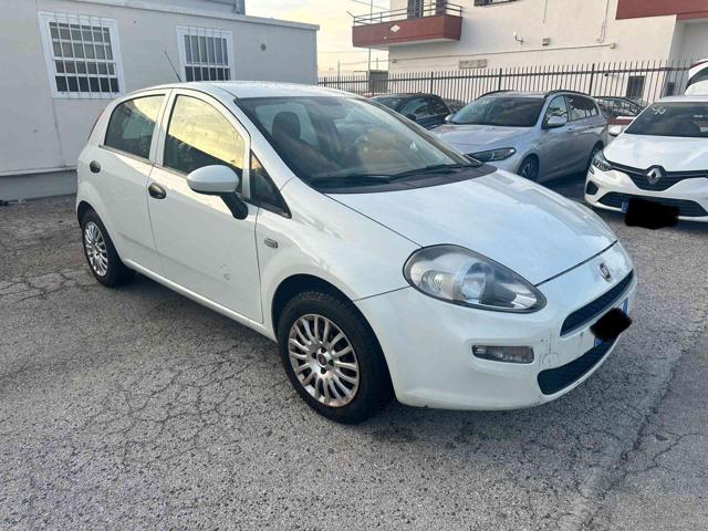 FIAT Punto 1.2 8V 5 porte Street Immagine 0