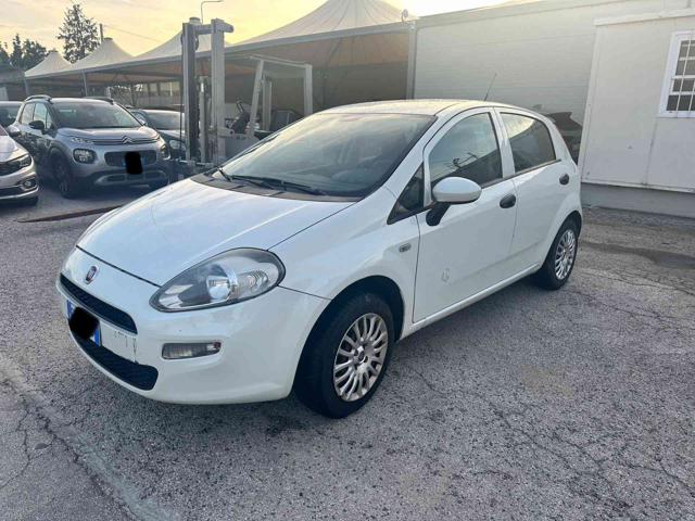 FIAT Punto 1.2 8V 5 porte Street Immagine 1